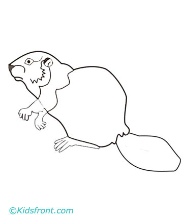 Beaver Coloring Pictures