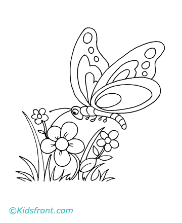 Butterfly Coloring Sheets on Colored Image Of Butterfly Color Butterfly With Flowers Coloring Page