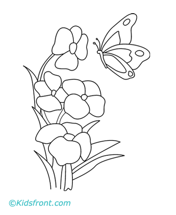 Butterfly Coloring Sheets on Butterfly Coloring Pageline