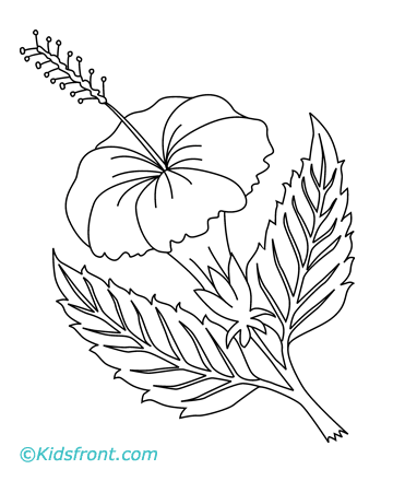 Flower Coloring Pages  Kids on Print Colored Image Of Flower Coloring Flower Pages For Kids