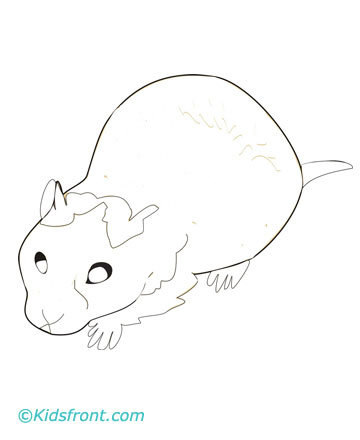 coloring pics of hamsters