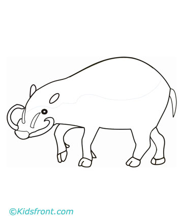 Hog Coloring Page