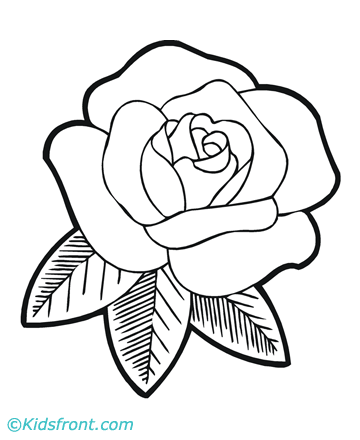 Summer Coloring Pages  Kids on Rose Flower Coloring Pages For Kids To Print Rose Flower