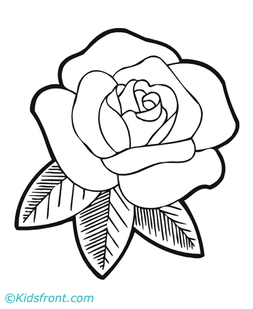 Coloring on Rose Flower Coloring Pages Printable