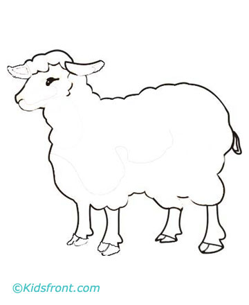 sheep coloring page