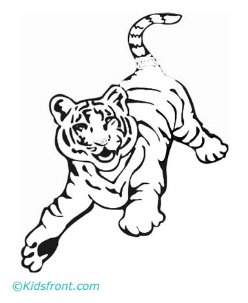 Tiger Coloring on Print Tiger Coloring Pages Small Color Page Large Color Page Small B W