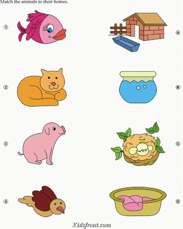 Kids Exercise Book -Match the Pictures