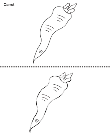 carrot.gif (360×440)