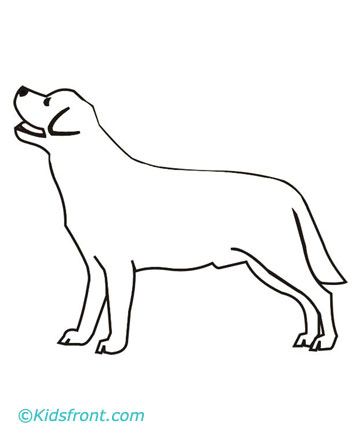 Small Dog Breeds Coloring Pages 7