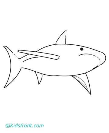 bull shark coloring page