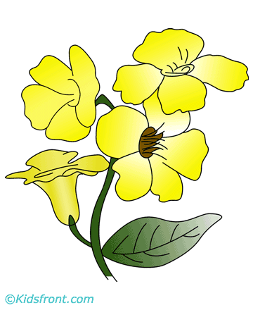 Allamanda Coloring Pages for Kids to Color and Print