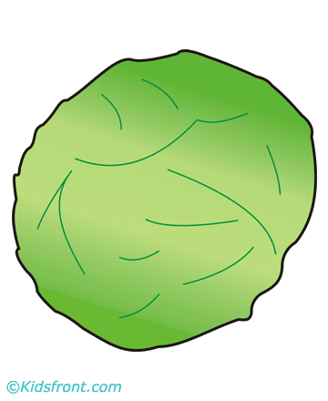 Cabbage Coloring Pages Printable